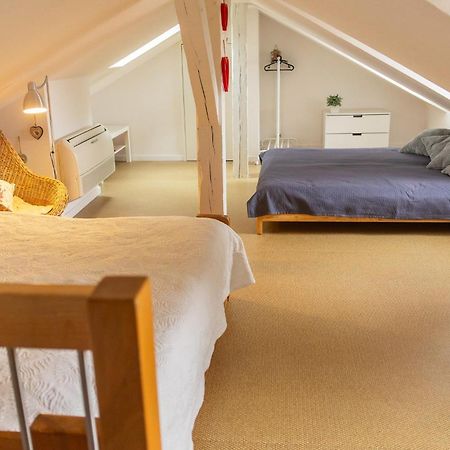 City Center Duplex Loft Colmar Buitenkant foto