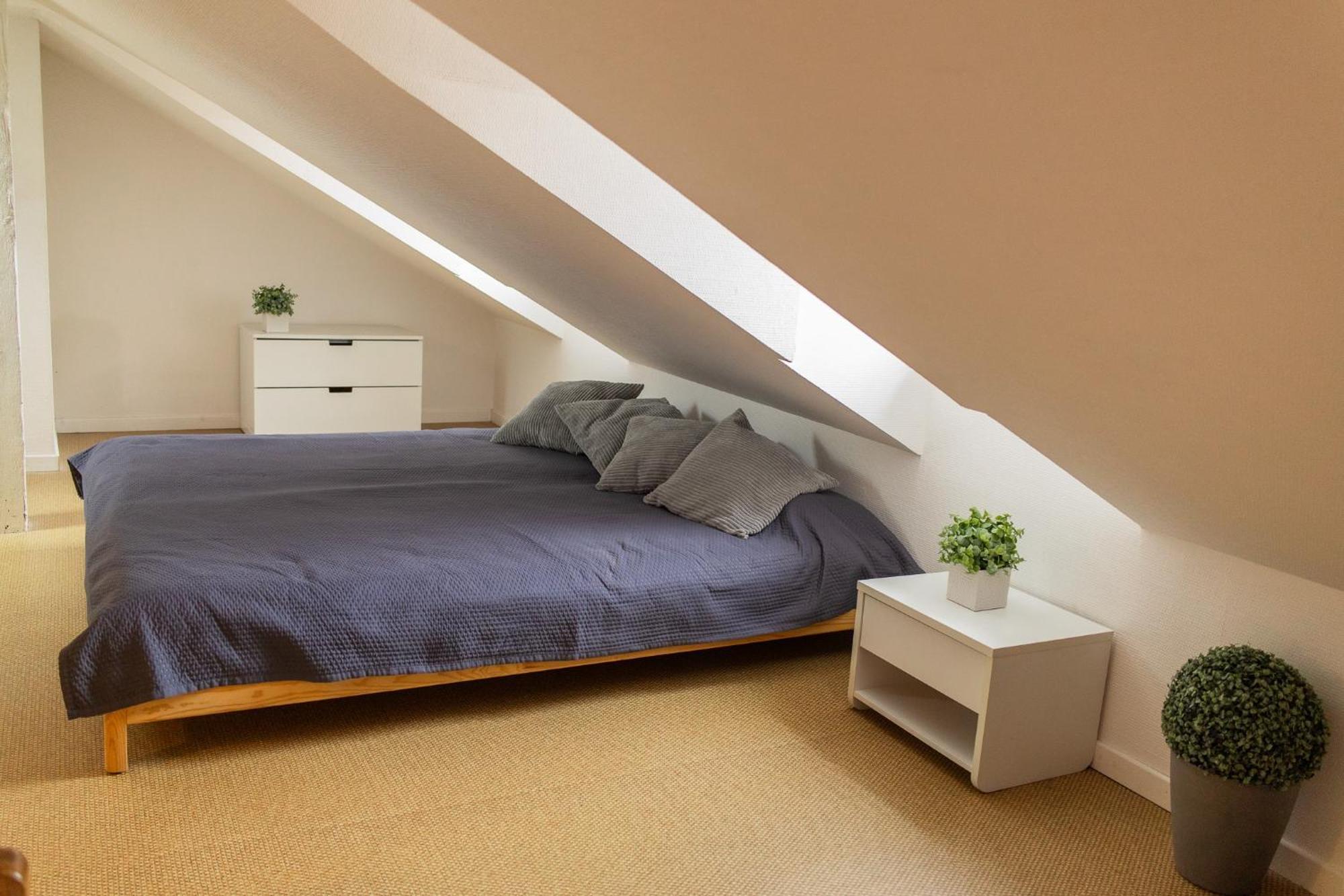 City Center Duplex Loft Colmar Buitenkant foto